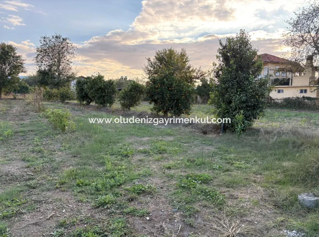 7,450M2 Land For Sale Close To The Center Of Dalyan