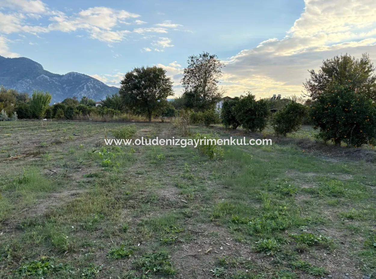7,450M2 Land For Sale Close To The Center Of Dalyan