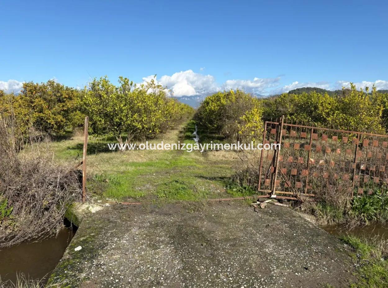23,000M2 Detached Field Garden For Sale In Tepearasin,