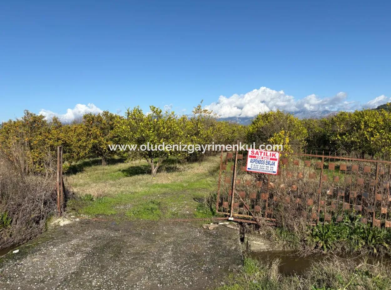 23,000M2 Detached Field Garden For Sale In Tepearasin,