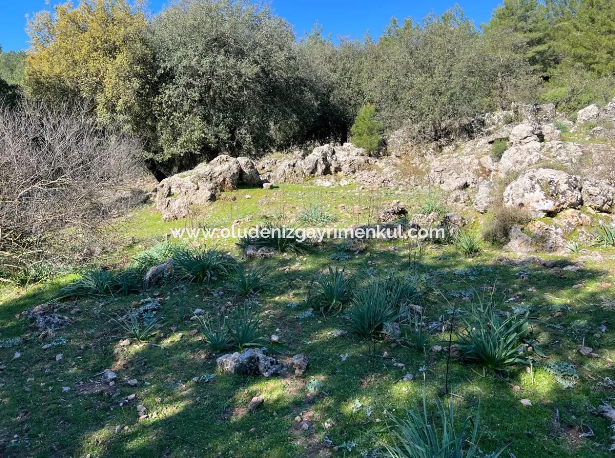 Land For Sale In Nature And Forest In Gökbel