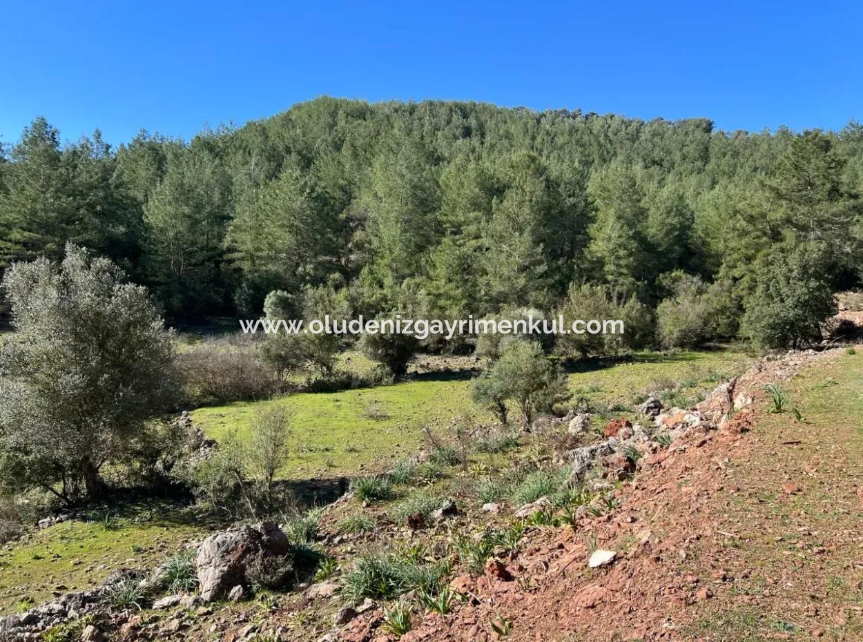 Land For Sale In Nature And Forest In Gökbel