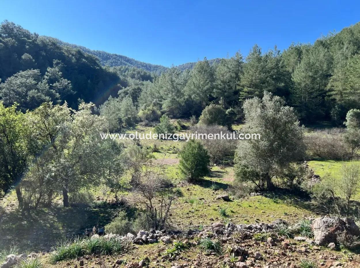 Land For Sale In Nature And Forest In Gökbel