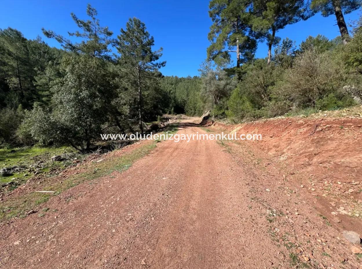 Land For Sale In Nature And Forest In Gökbel