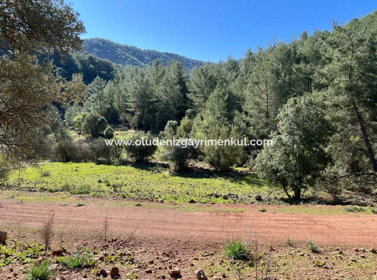 Land For Sale In Nature And Forest In Gökbel