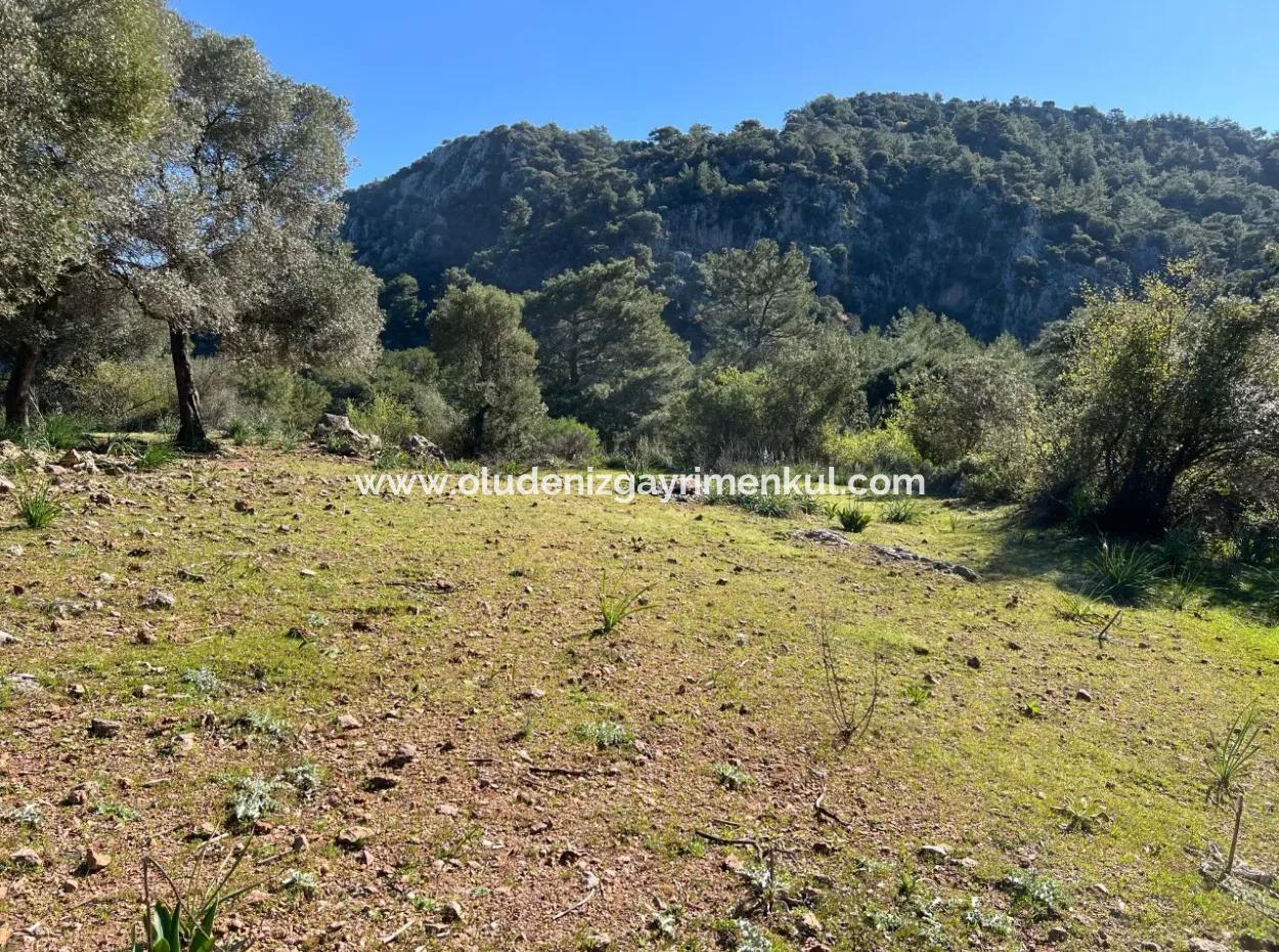 Land For Sale In Nature And Forest In Gökbel