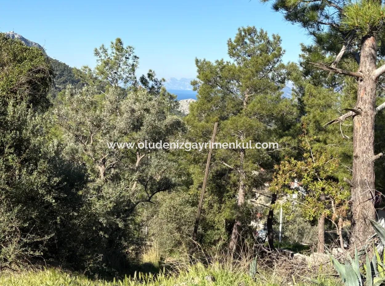 1000M2 Land For Sale With Sea View In The Village Built-Up Area In Gökbel