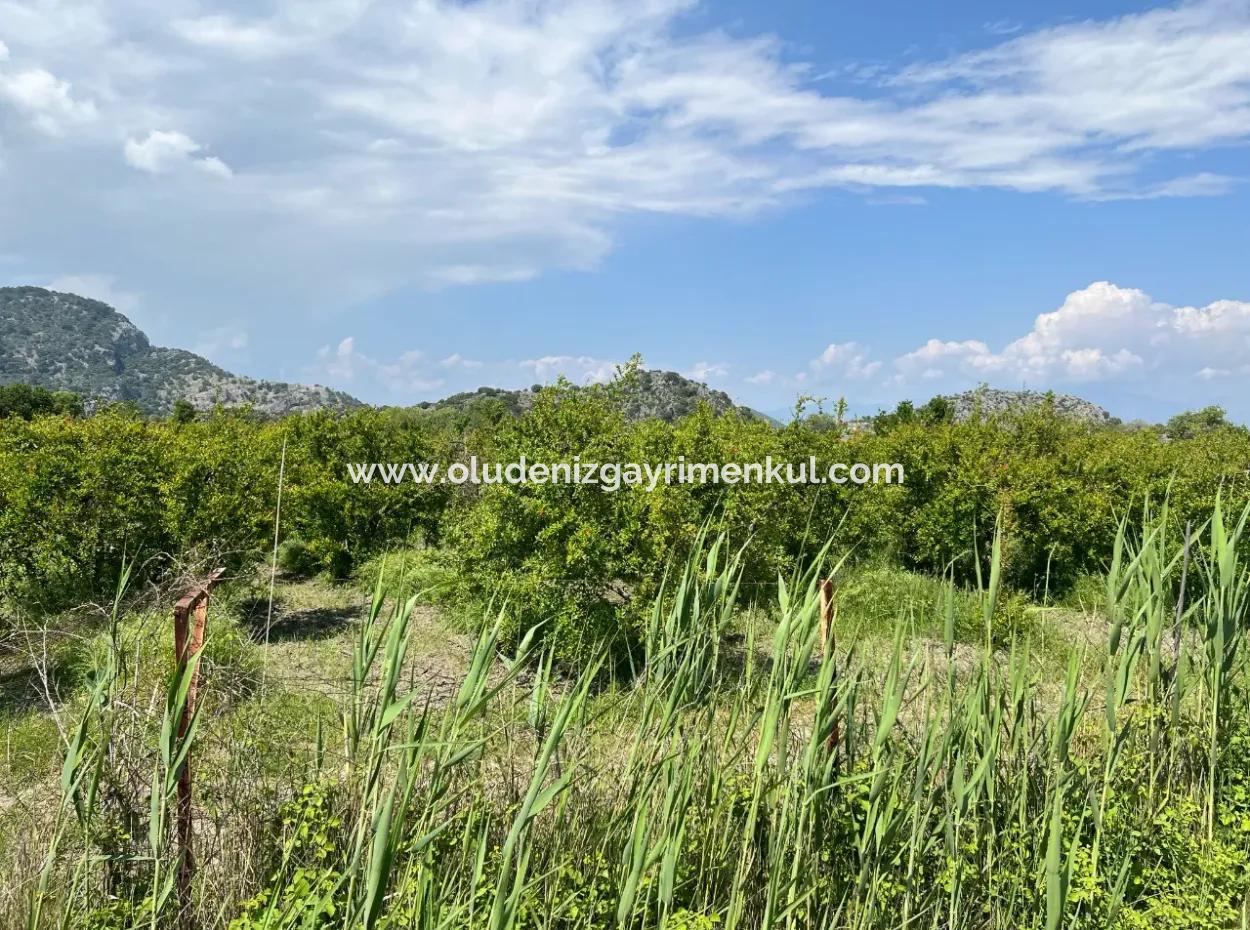 5,100M2 Land For Sale In Dalyan Maraş Area With 5% Residential Zoning