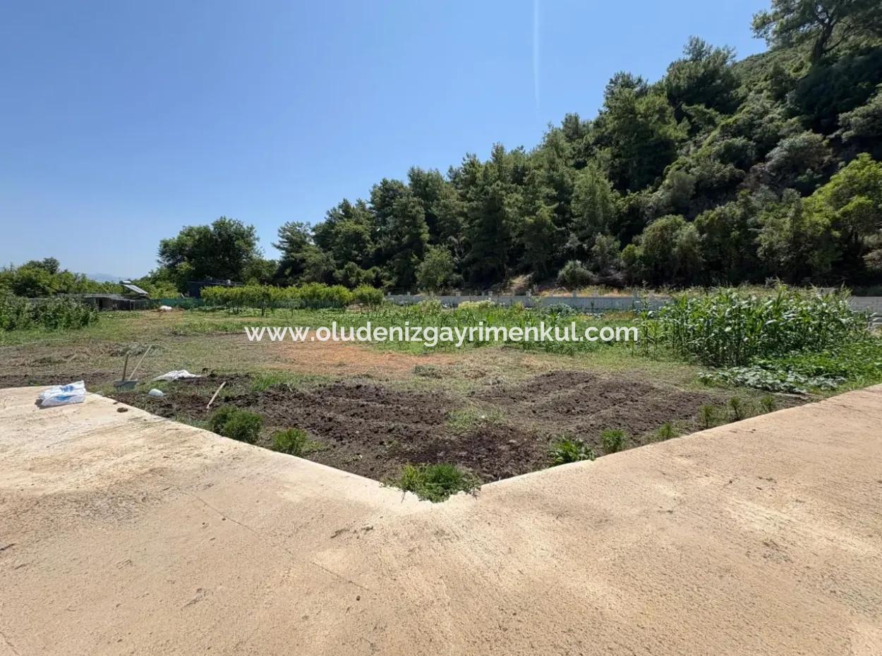 120M2 Detached Wooden House In A 2500M2 Field In Dalyan Karadağ