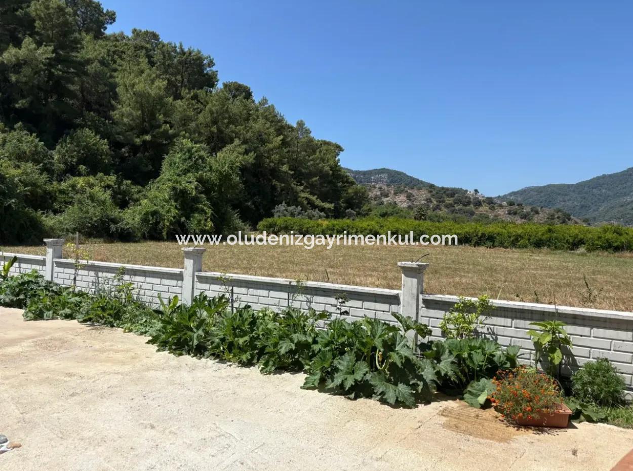 120M2 Detached Wooden House In A 2500M2 Field In Dalyan Karadağ