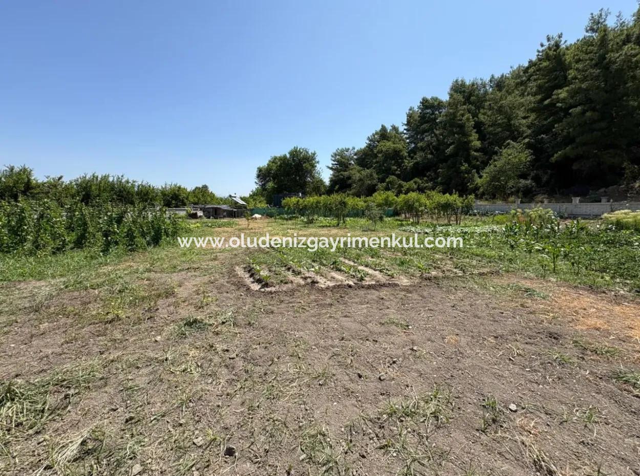 120M2 Detached Wooden House In A 2500M2 Field In Dalyan Karadağ