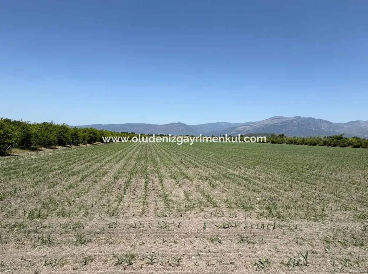 46,550M2 Land For Sale In Tepearası