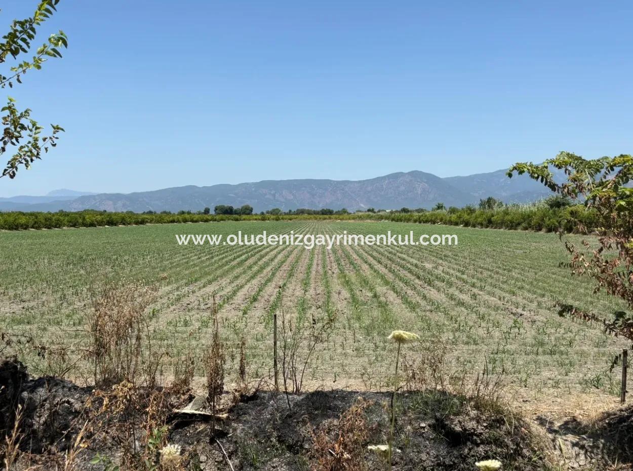 46,550M2 Land For Sale In Tepearası