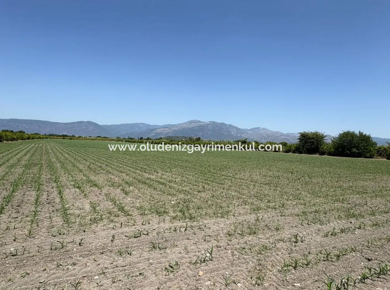 46,550M2 Land For Sale In Tepearası