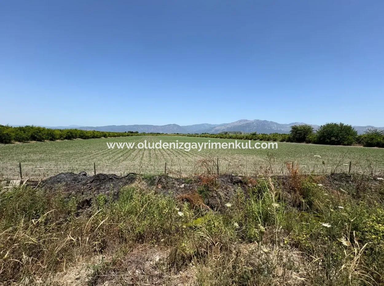 46,550M2 Land For Sale In Tepearası