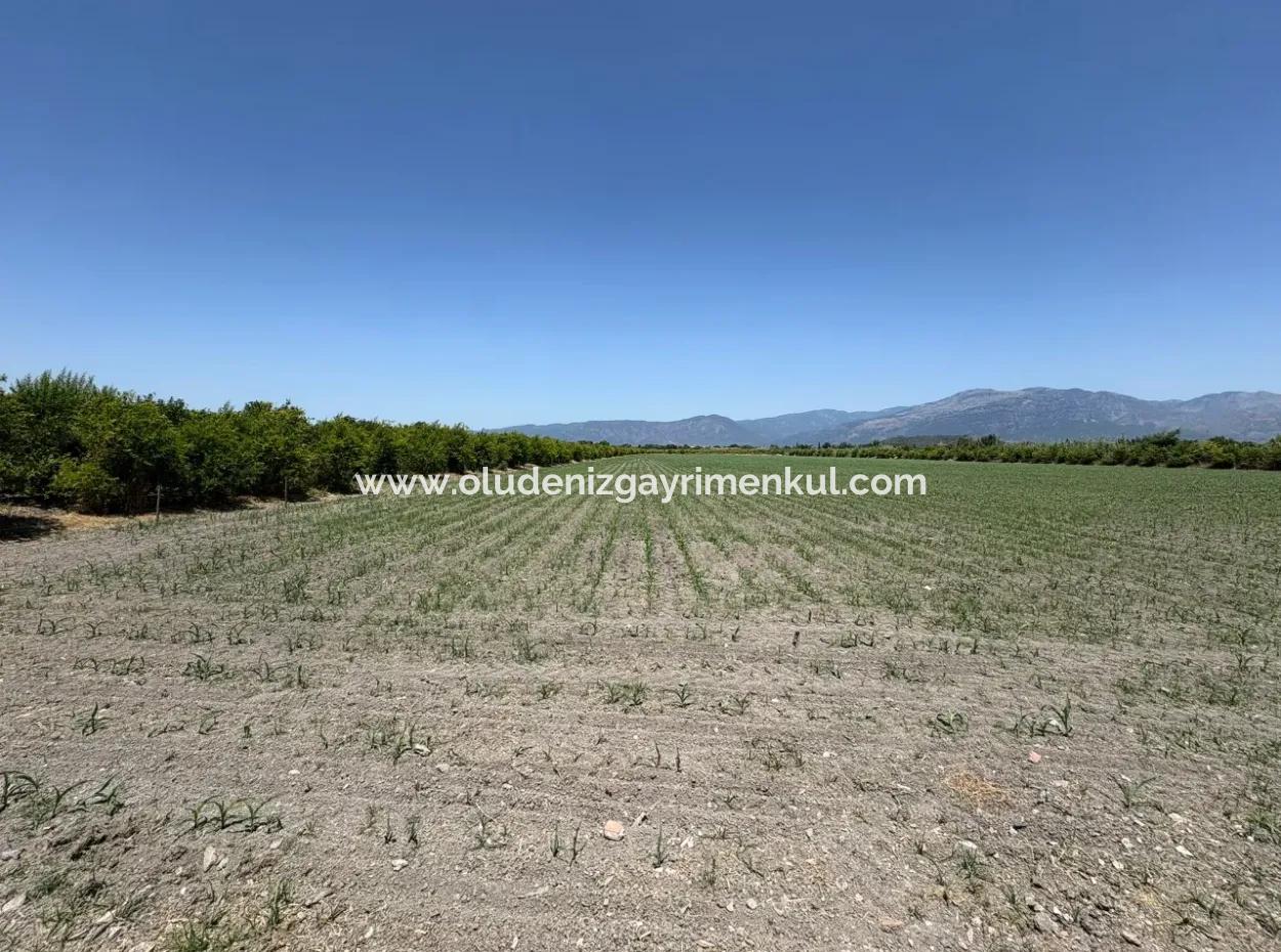 46,550M2 Land For Sale In Tepearası