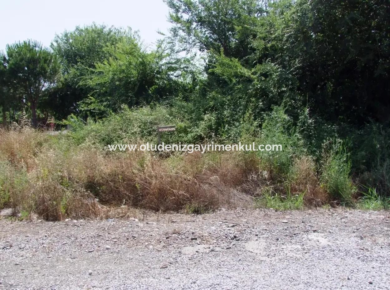 Gurpinar In Dalyan For Sale Dalyan Land For Sale, Plot For Sale In Köşebaşı 993M2 0 60