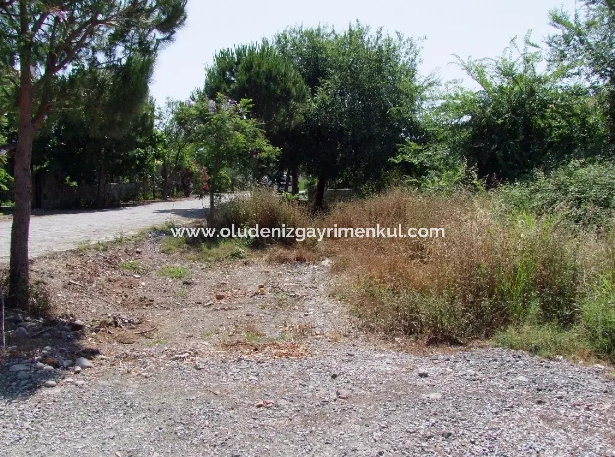 Gurpinar In Dalyan For Sale Dalyan Land For Sale, Plot For Sale In Köşebaşı 993M2 0 60
