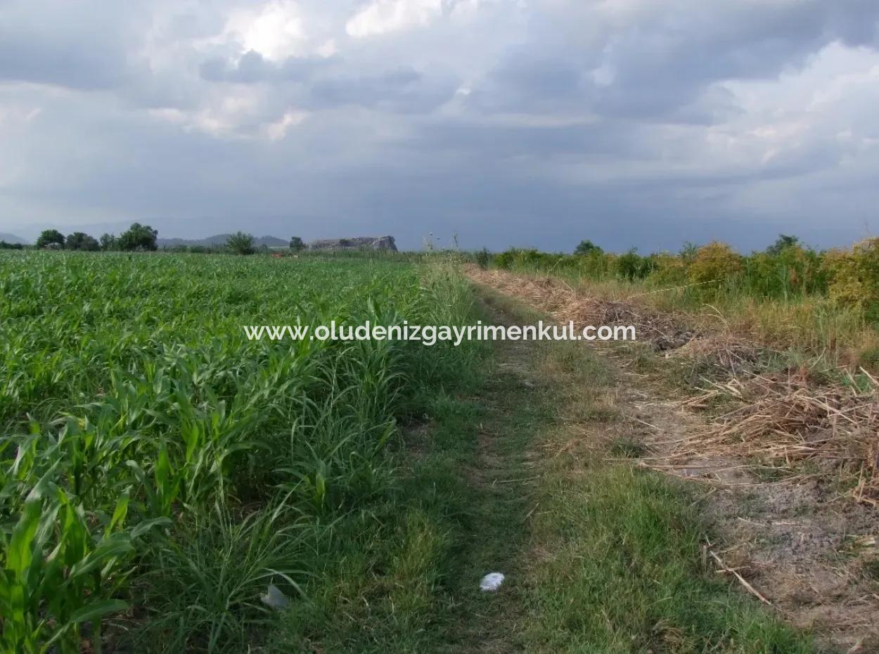 Farm For Sale Near The Centre Of Dalyan,14, 612M2 Farm For Sale
