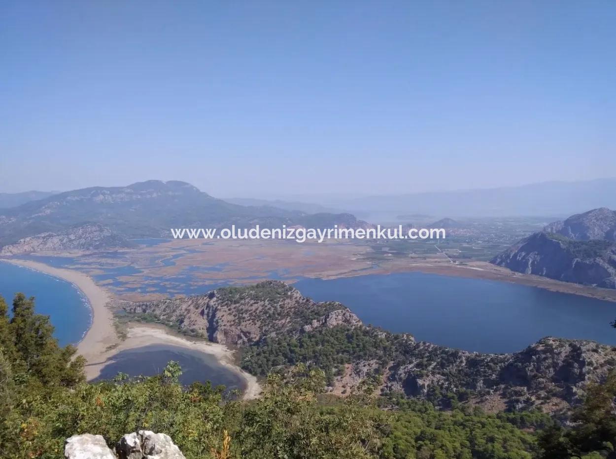 Merkez Dalyan Lake Iztuzu For Sale In Gokbel Zero Path 7484M2