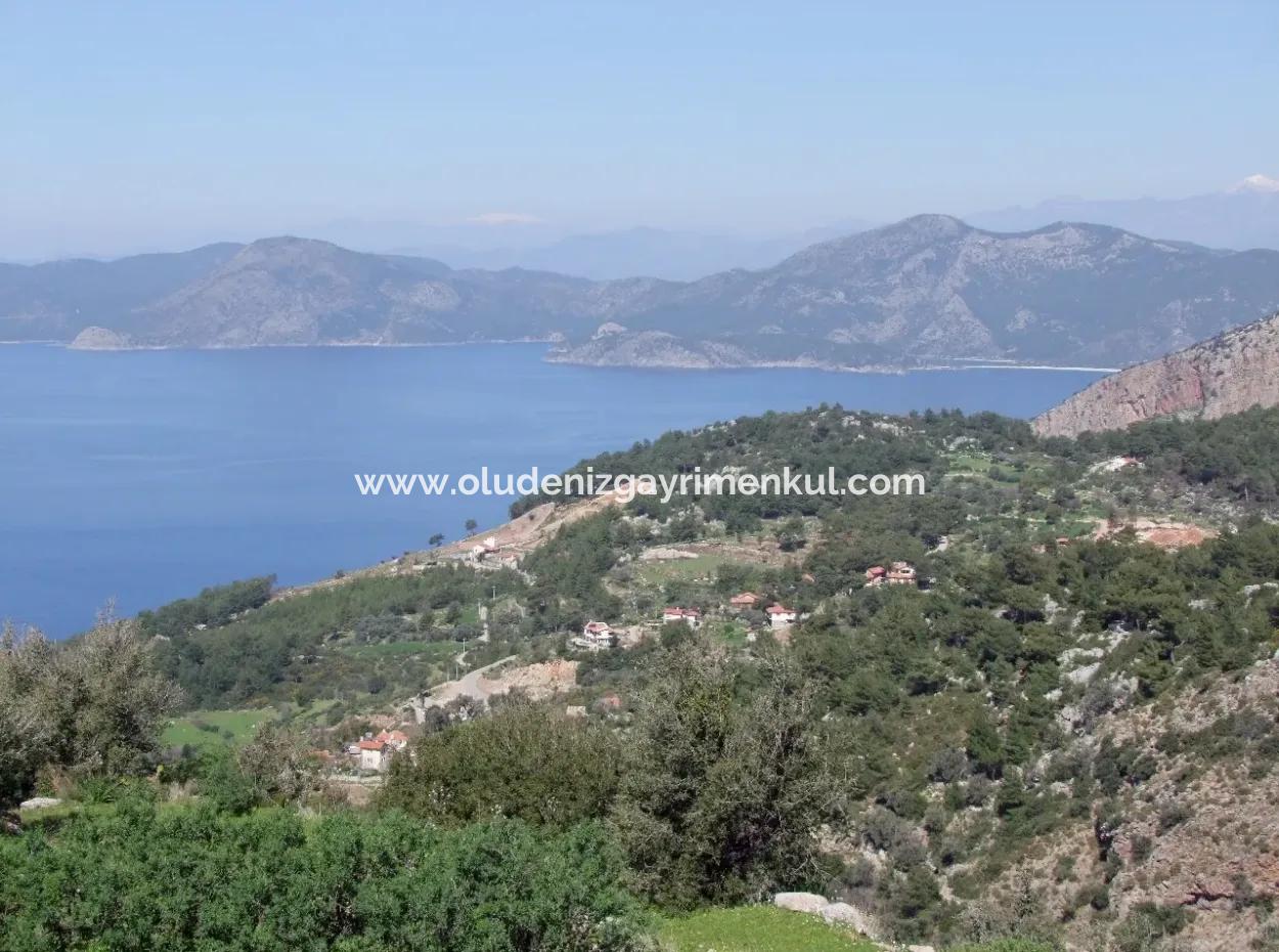 For Sale In Faralya Faralya With Sea View And 11,286M2 Land For Sale Tourism