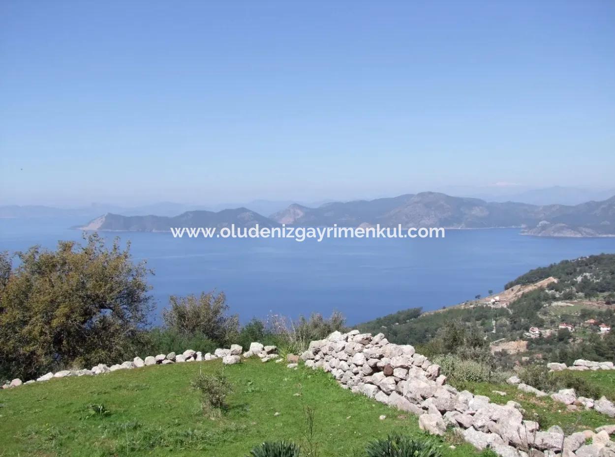 For Sale In Faralya Faralya With Sea View And 11,286M2 Land For Sale Tourism