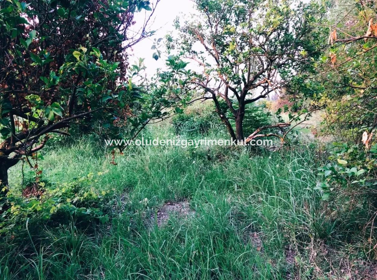 Archer In The Archers Plot For Sale For Sale In Marmarli 1,500M2 Plot For Sale