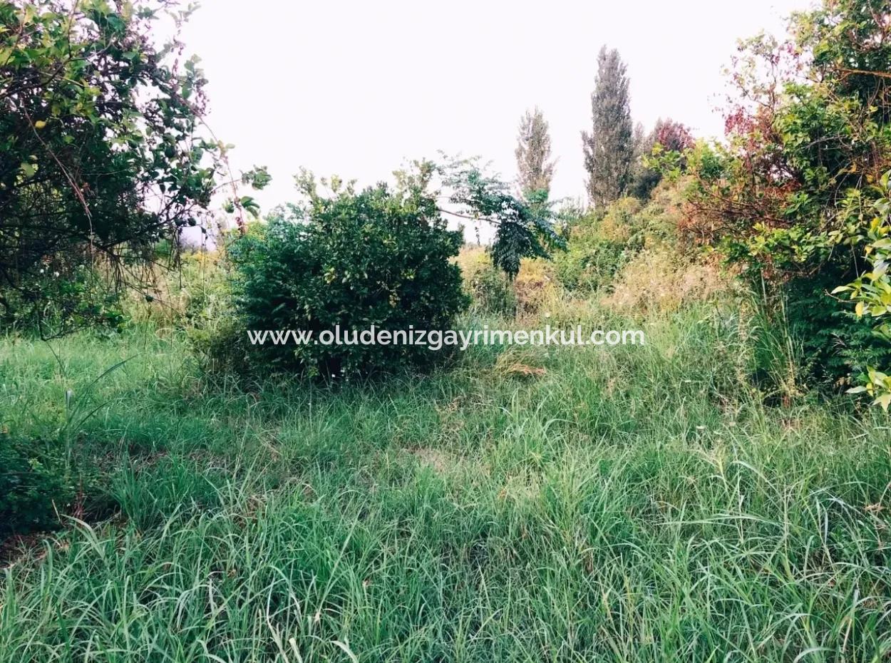 Archer In The Archers Plot For Sale For Sale In Marmarli 1,500M2 Plot For Sale