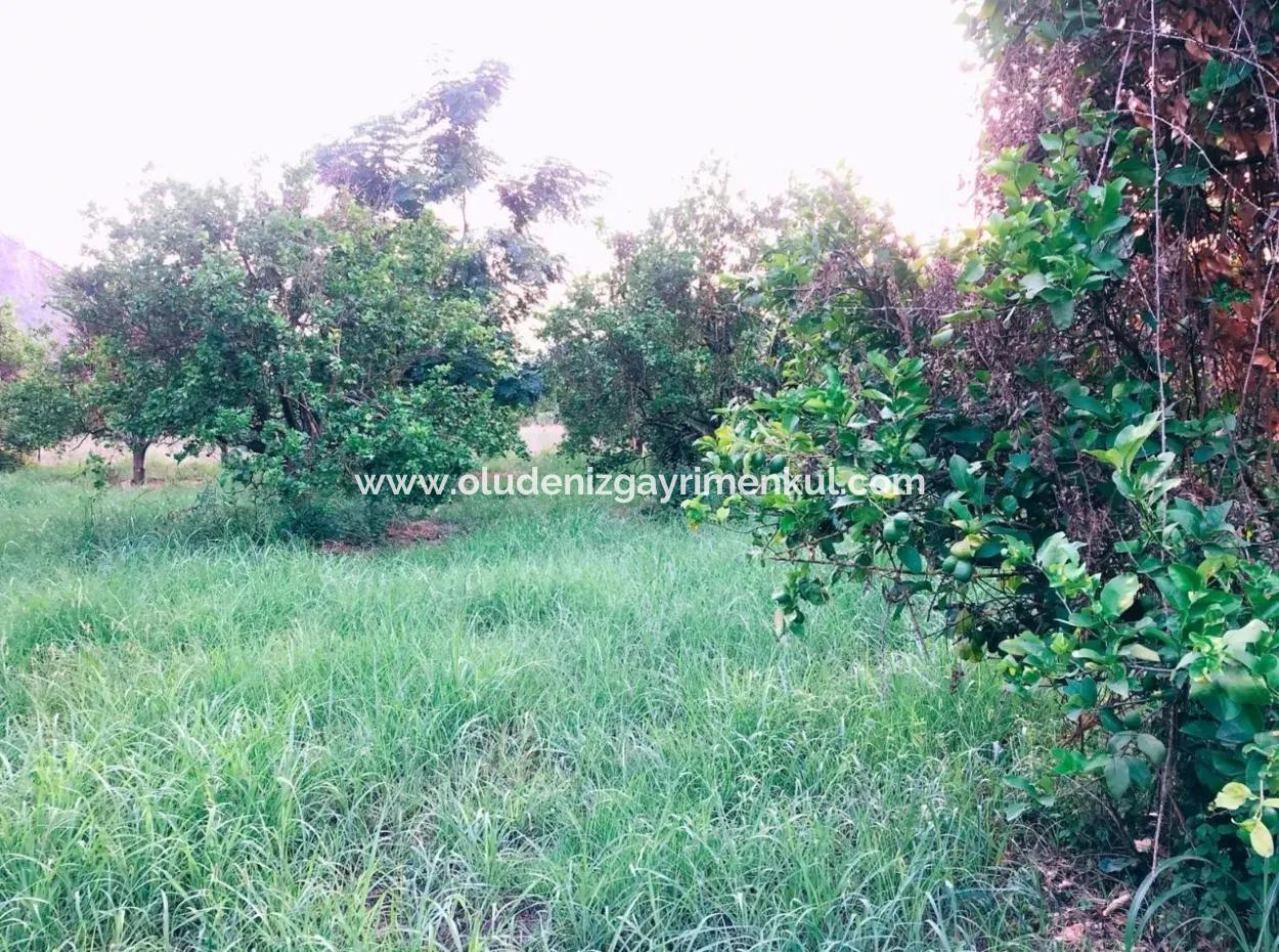 Archer In The Archers Plot For Sale For Sale In Marmarli 1,500M2 Plot For Sale