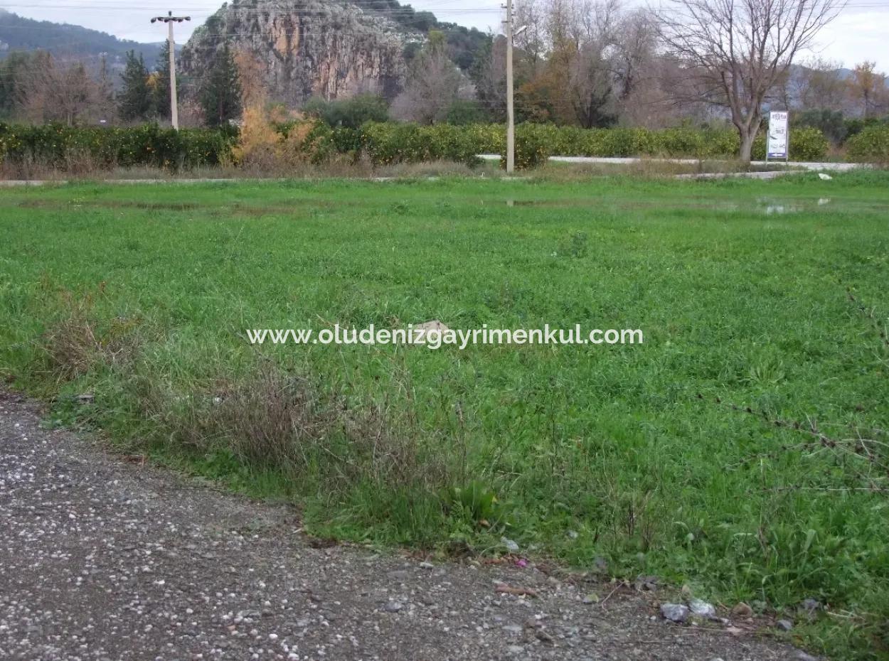 Gulpinar Dalyan Dalyan For Sale In 1002M2 Plot For Sale For Sale Cornerstone
