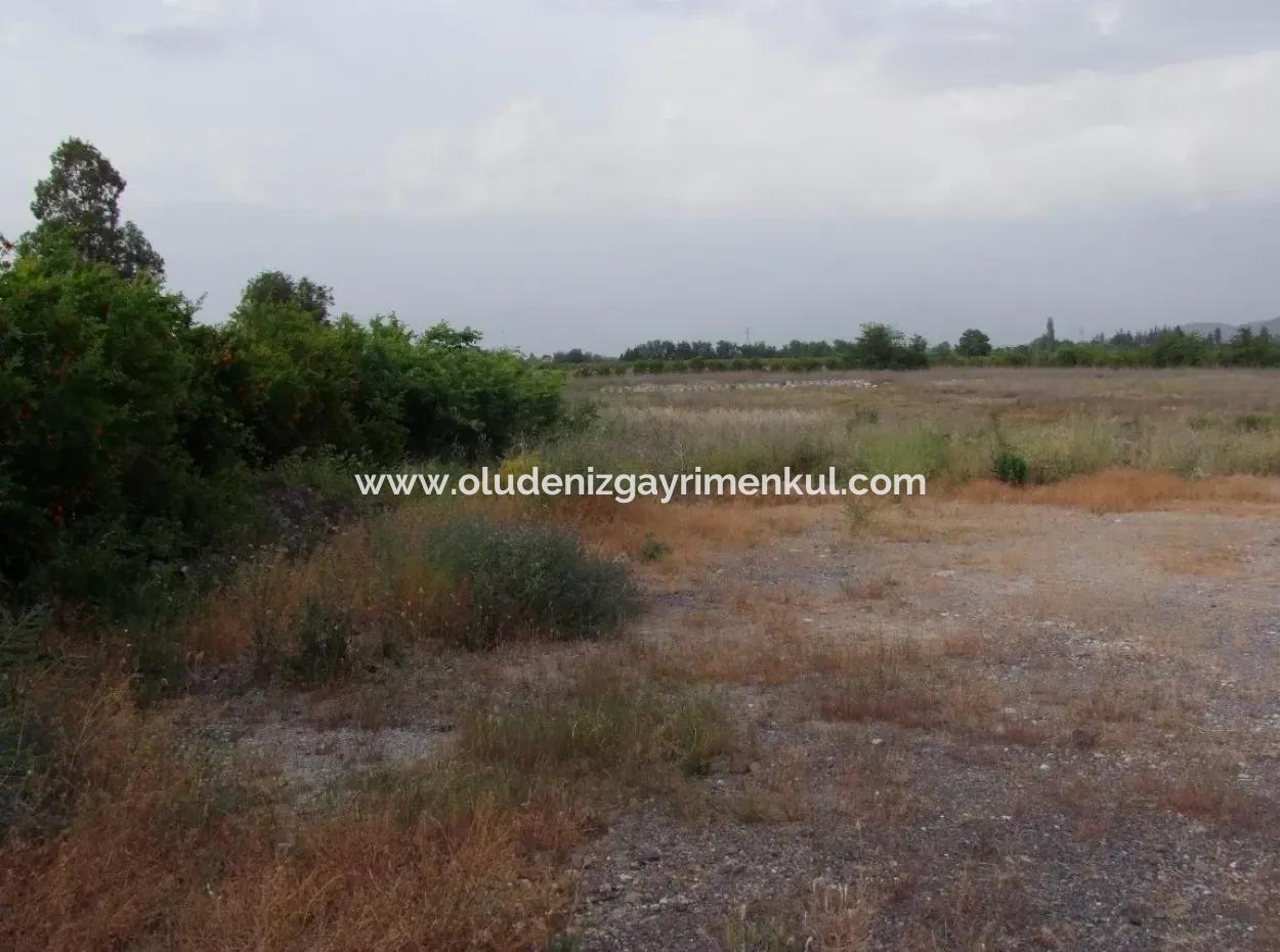 Commercial Plot For Sale In Dalyan, Dalyan On Highway 17,805M2 Plot For Sale Bargain
