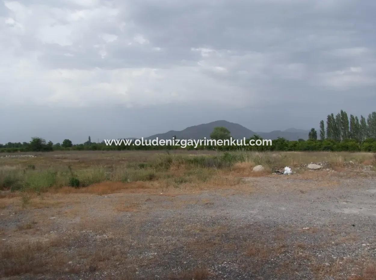 Commercial Plot For Sale In Dalyan, Dalyan On Highway 17,805M2 Plot For Sale Bargain