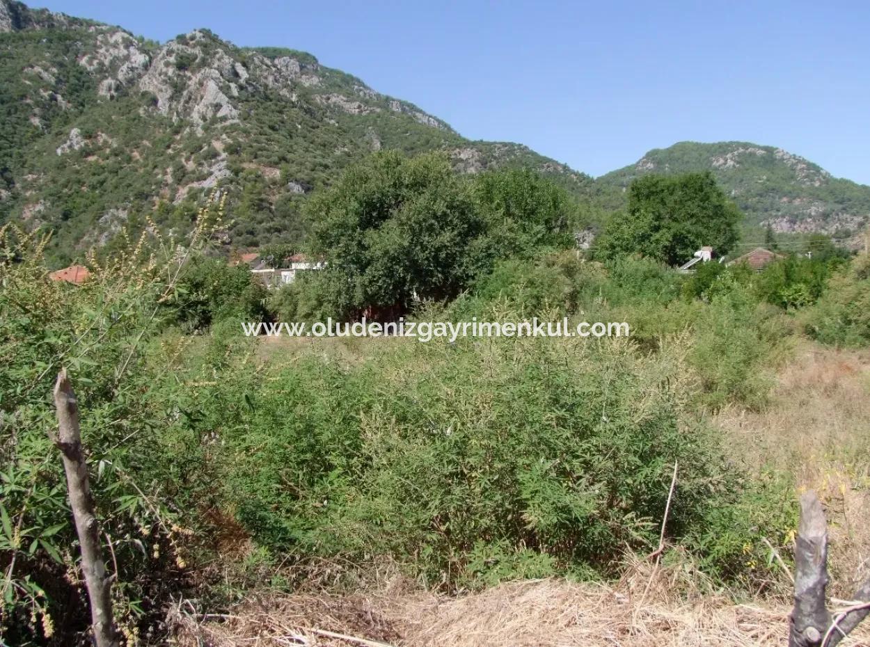930M2 Land For Sale In Plot For Sale In Mergenli Ortaca Mergenli