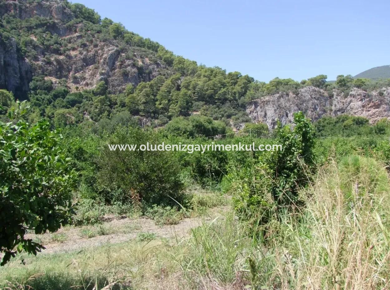 In Dalyan Plot For Sale In Channel Zero