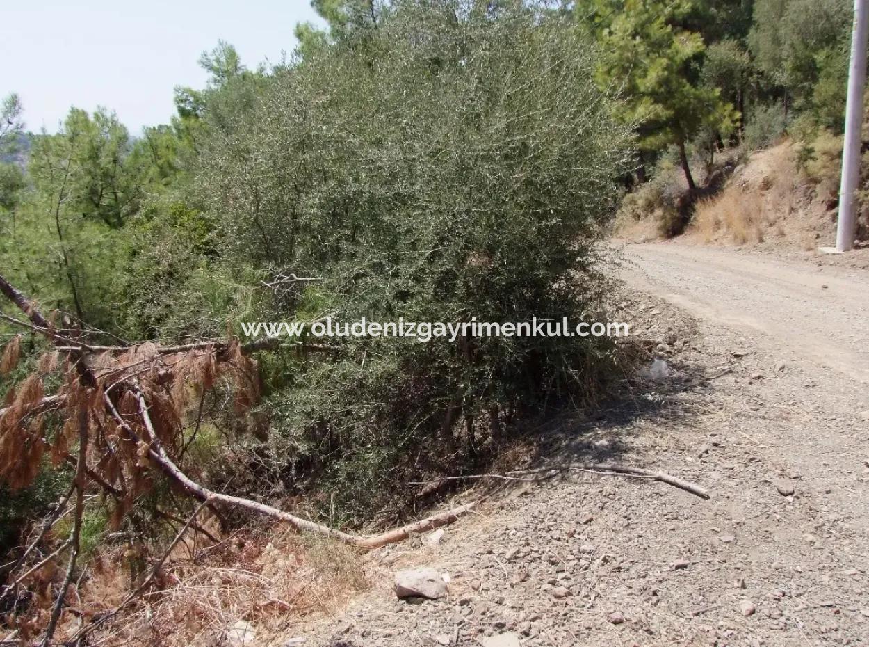For Sale Land Also With Full Sea View For Sale In Sarigerme Land For Sale