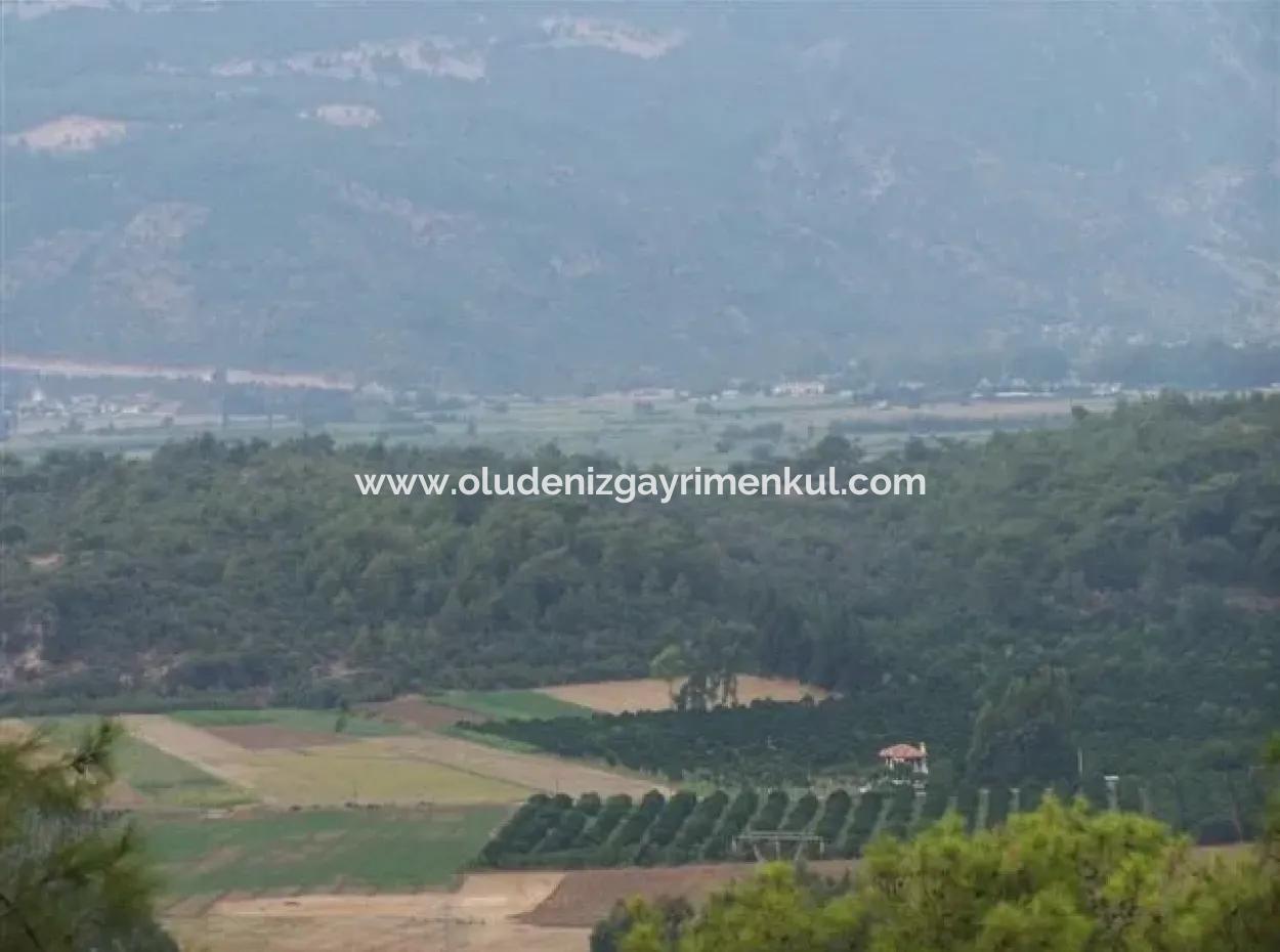 Gökçe Gökçe 21671M2 Farm For Sale For Sale