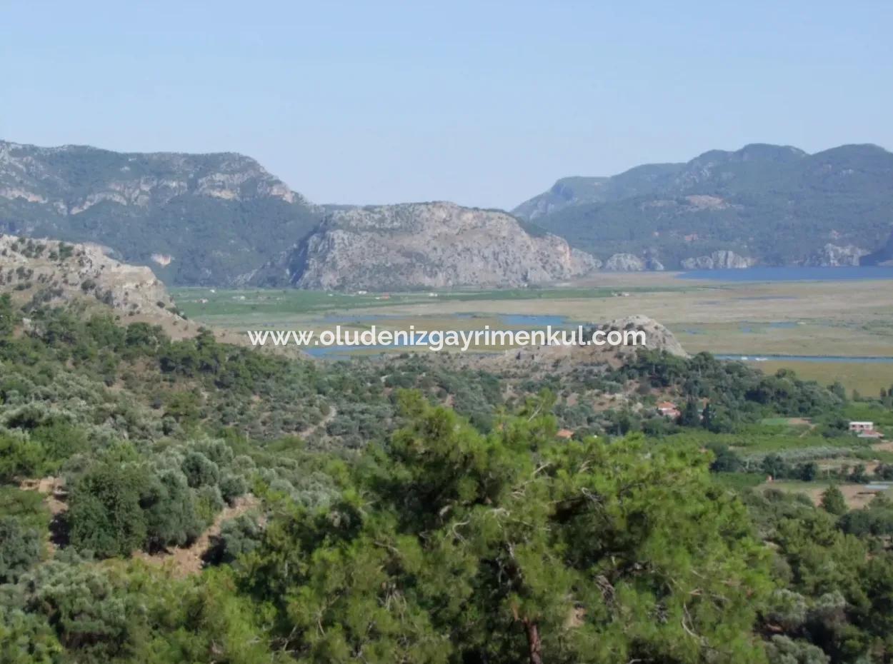 Land For Sale In Çandır Sea View 6265 M2 Land For Sale