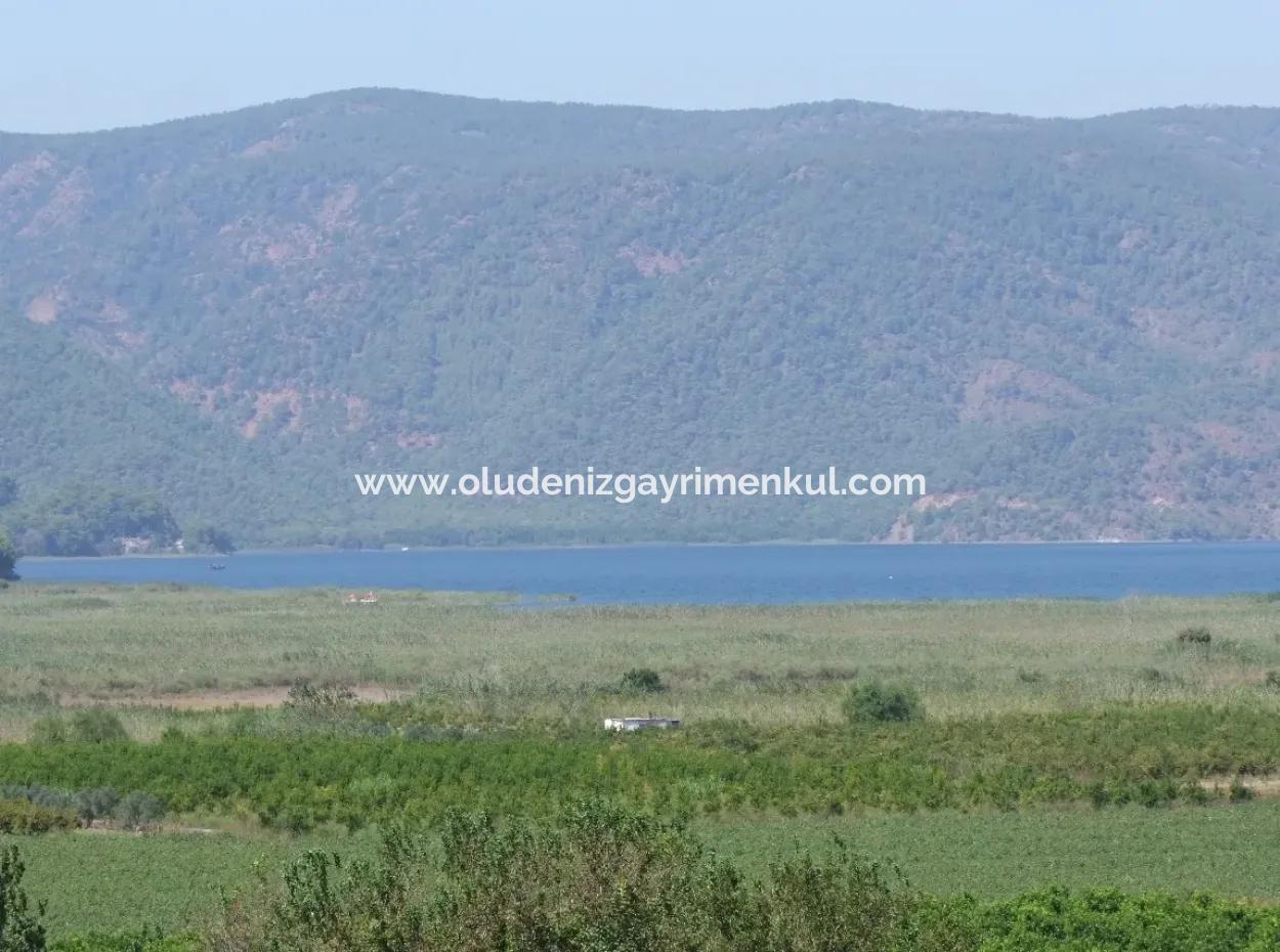 For Sale Farm For Sale In Dalyan 73410M2