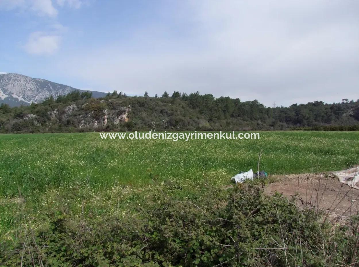 In Akyaka For Sale: Land For Sale Farm For Sale A Farm Near The Sea Of Ars, Yatirimlik 21625M2