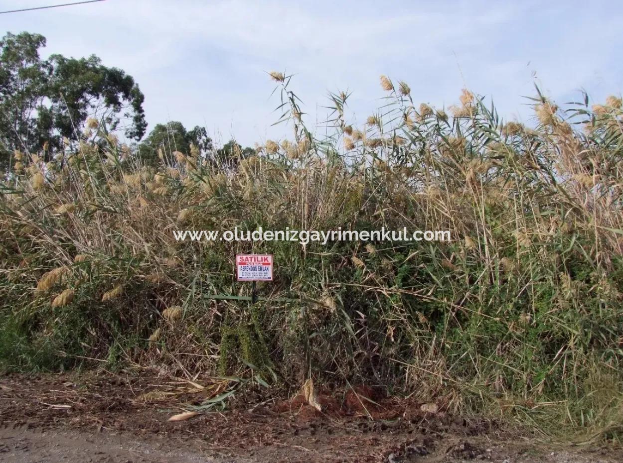 For Sale Land In Dalyan For Sale Dalyan Channel Zero