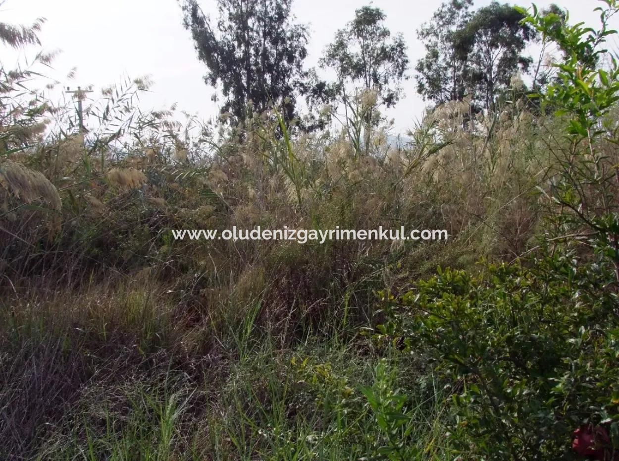 For Sale Land In Dalyan For Sale Dalyan Channel Zero