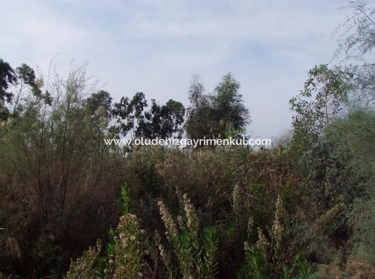 For Sale Land In Dalyan For Sale Dalyan Channel Zero