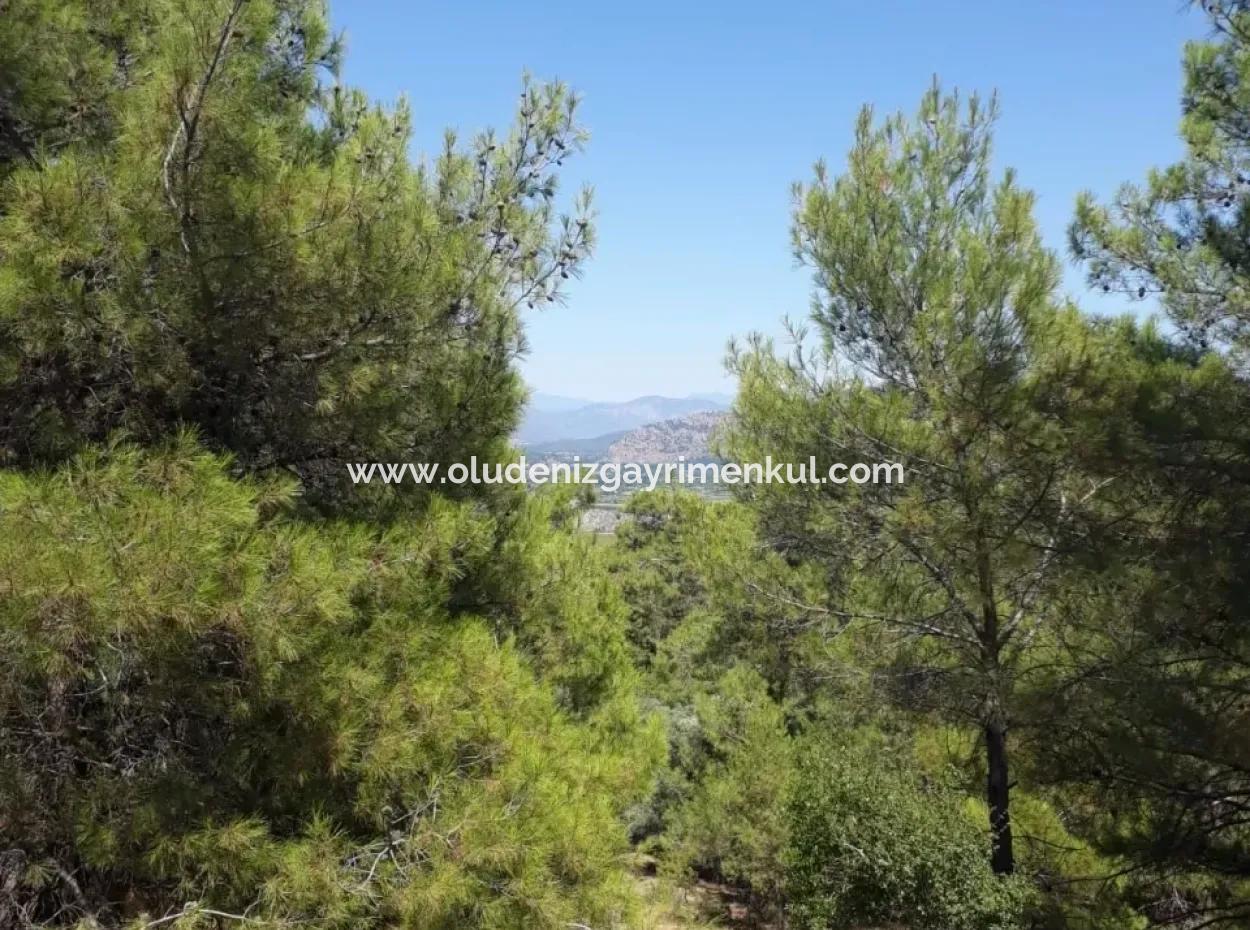 Dalyan Iztuzu In Dalyan For Sale For Sale In Candır 2367M2 2B