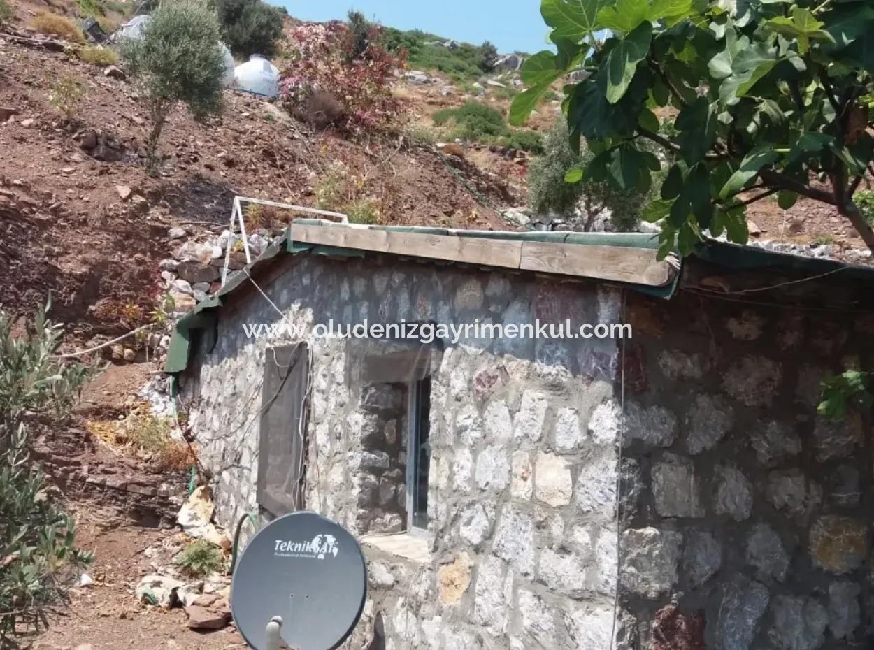 Custom Village By The Sea For Sale Villa For Sale In Osmanabad