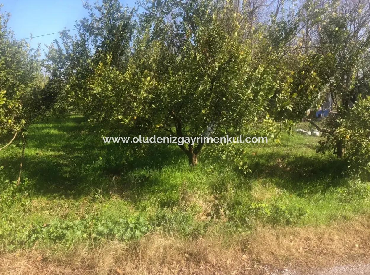 Raiders 803M2 Land For Sale In Plot For Sale