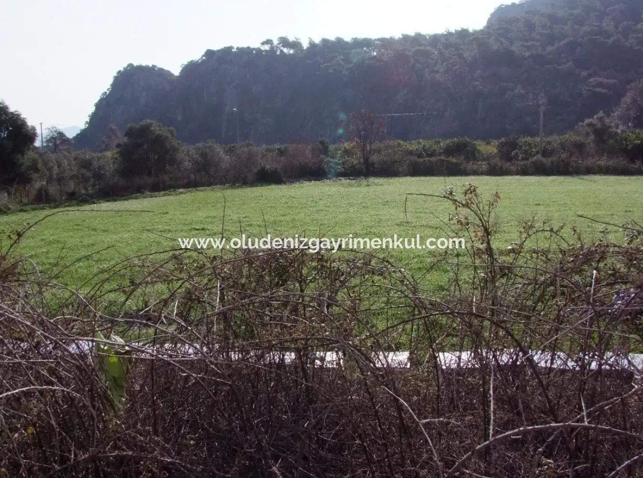 For Sale In Koycegiz, Dalyan Plot For Sale 10629M2