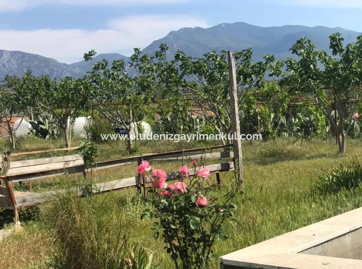 Land For Sale In Seydikemer Korubuku 76000M2