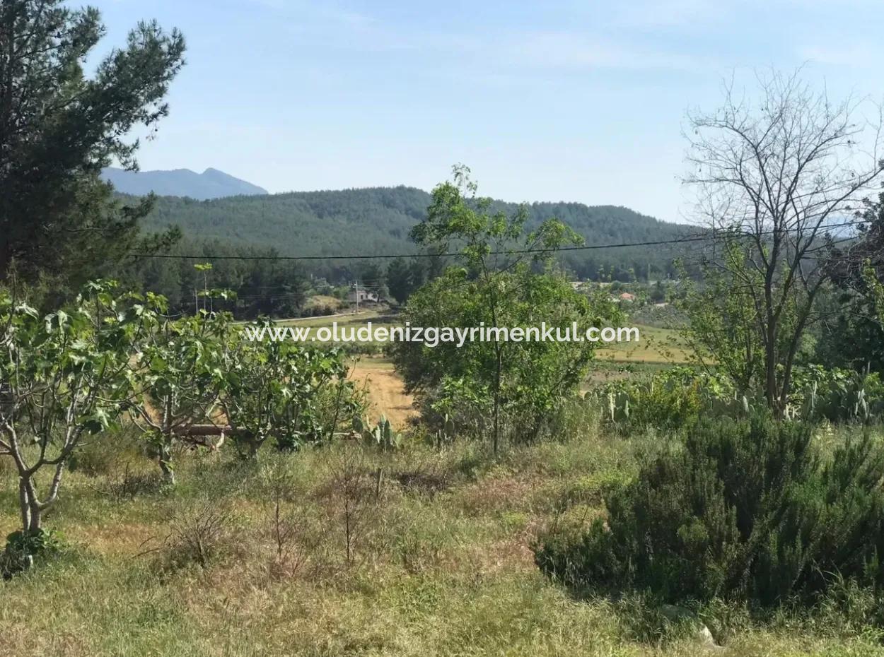 Land For Sale In Seydikemer Korubuku 76000M2