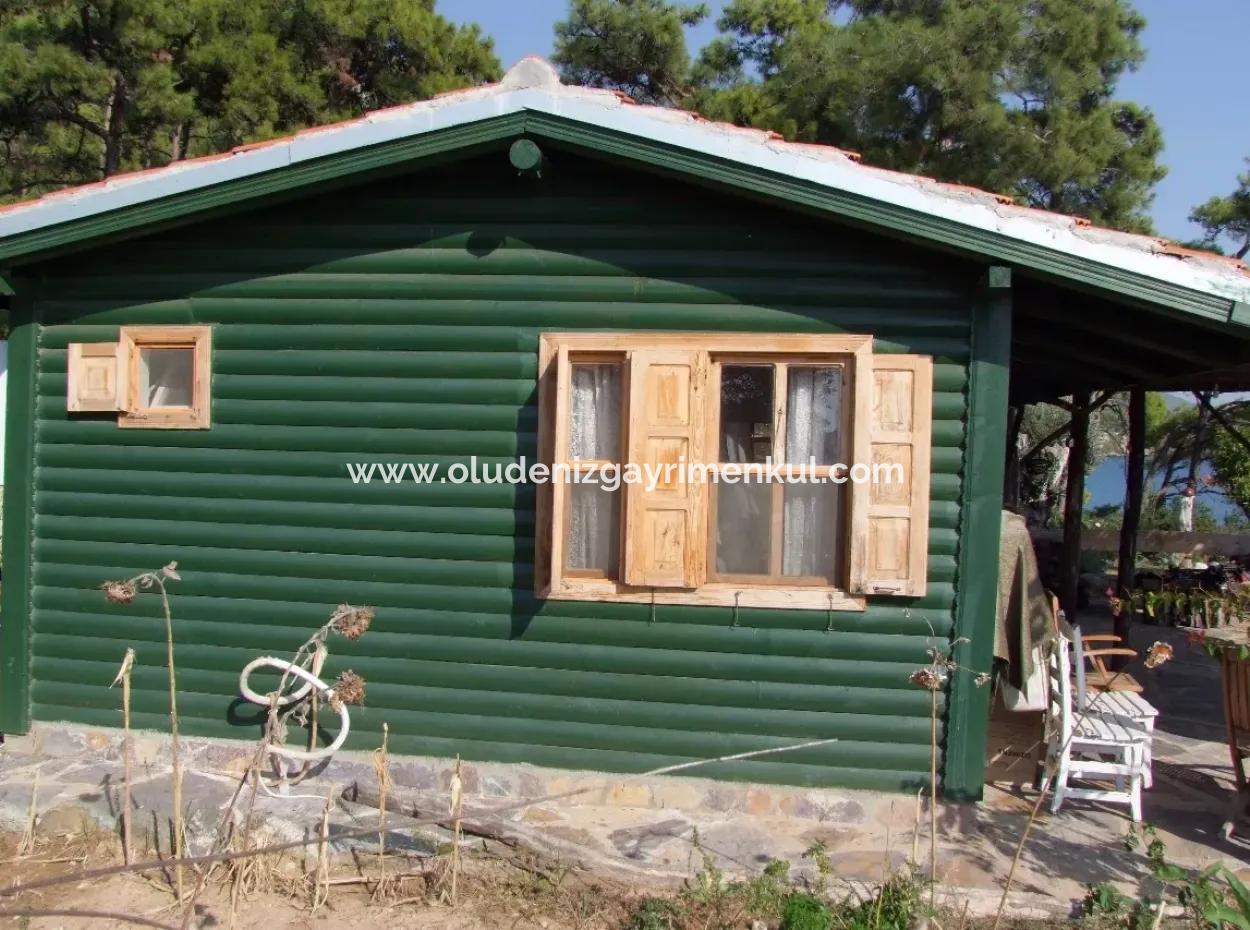 Beachfront Bungalow For Sale In Akbuk By The Sea In A Plot Of 800M2 Villa For Sale Turnalı