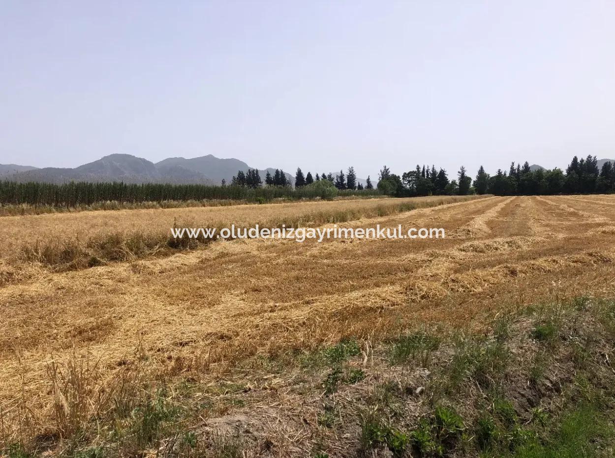 Farm Land For Sale 39 Acres In Eskikoy